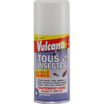 Vulcano tous insectes